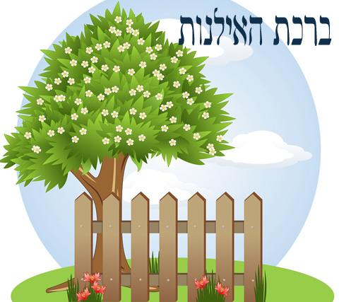 סדר ברכת האילנות