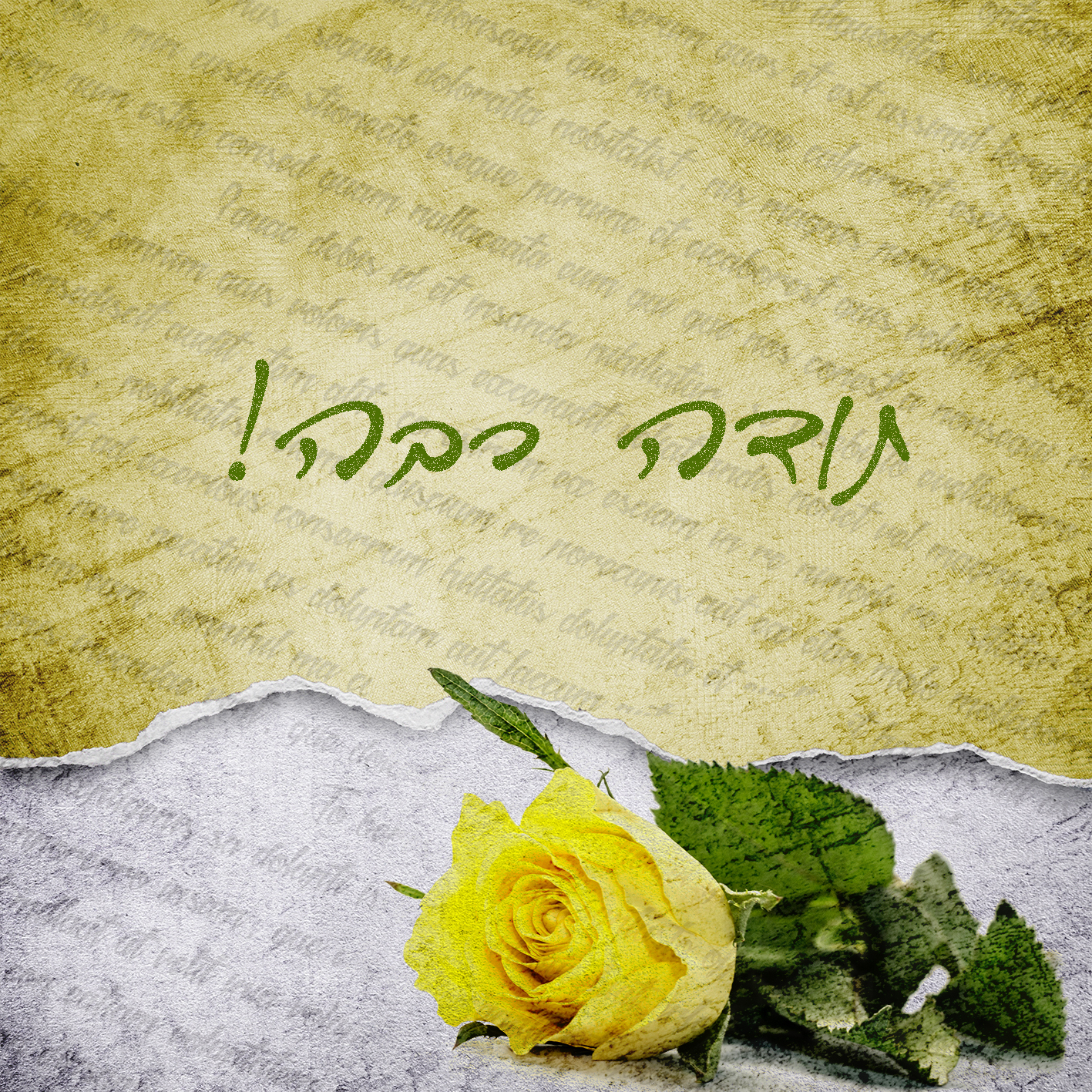 תודה רבה, פרח, צהוב, מכתב תודה, אירוח
