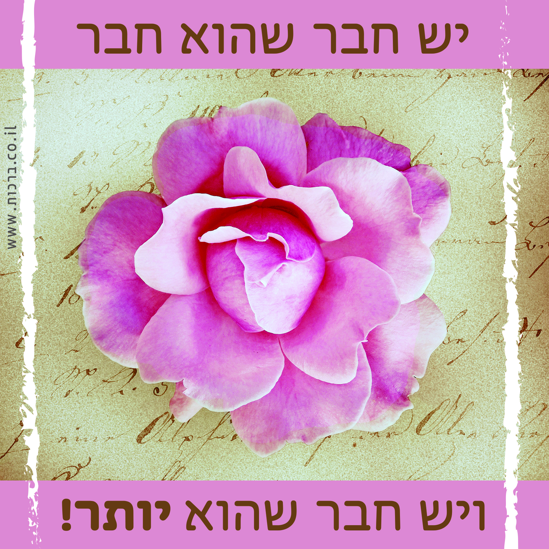 ברכה לחבר, פרח
